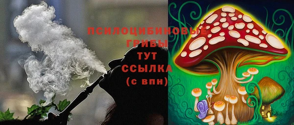 соль ск Алексеевка