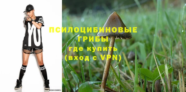 стафф Алексин