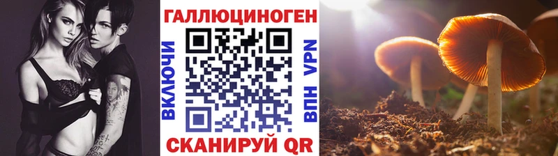 Псилоцибиновые грибы мухоморы  Полевской 