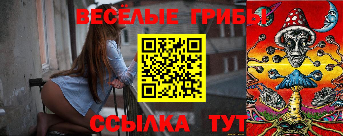 Псилоцибиновые грибы Cubensis  Вход с VPN  Галлюциногенные грибы мухоморы  Полевской 