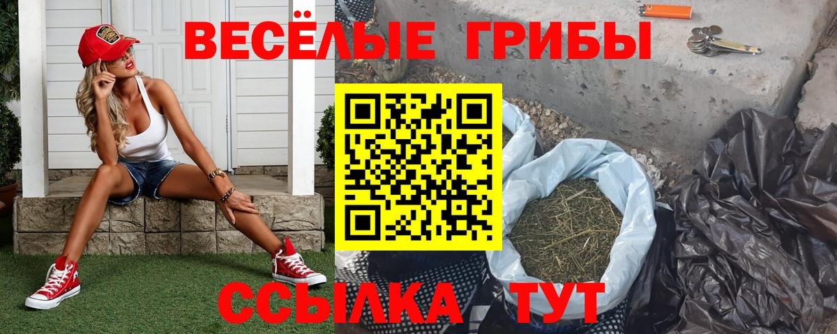 Псилоцибиновые грибы Cubensis Полевской
